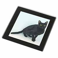 Black Bombay Cat Black Rim High Quality Glass Coaster