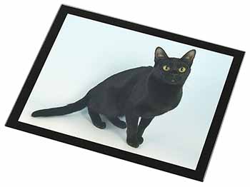 Black Bombay Cat Black Rim High Quality Glass Placemat
