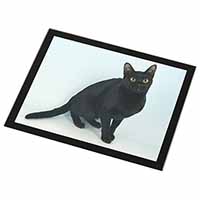 Black Bombay Cat Black Rim High Quality Glass Placemat