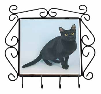 Black Bombay Cat Wrought Iron Key Holder Hooks