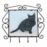 Black Bombay Cat Wrought Iron Key Holder Hooks