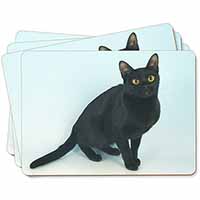 Black Bombay Cat Picture Placemats in Gift Box