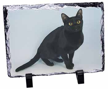 Black Bombay Cat, Stunning Photo Slate