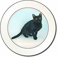 Black Bombay Cat Car or Van Permit Holder/Tax Disc Holder