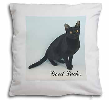 Bombay Black Cat 