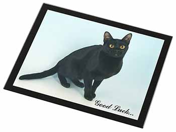 Bombay Black Cat 