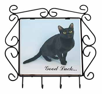 Bombay Black Cat 