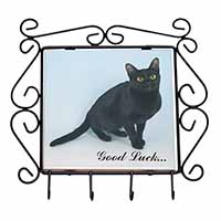 Bombay Black Cat 
