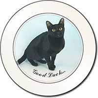 Bombay Black Cat 