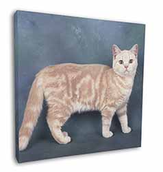 British Shorthair Ginger Cat Square Canvas 12"x12" Wall Art Picture Print