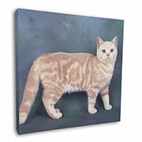British Shorthair Ginger Cat Square Canvas 12"x12" Wall Art Picture Print