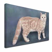 British Shorthair Ginger Cat Canvas X-Large 30"x20" Wall Art Print