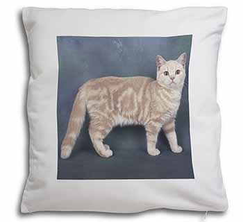 British Shorthair Ginger Cat Soft White Velvet Feel Scatter Cushion
