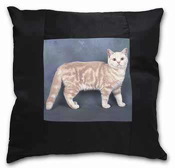 British Shorthair Ginger Cat Black Satin Feel Scatter Cushion