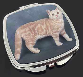 British Shorthair Ginger Cat Make-Up Compact Mirror