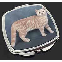 British Shorthair Ginger Cat Make-Up Compact Mirror