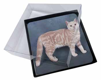 4x British Shorthair Ginger Cat Picture Table Coasters Set in Gift Box