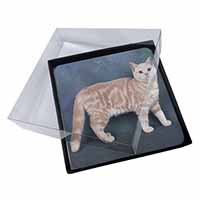 4x British Shorthair Ginger Cat Picture Table Coasters Set in Gift Box