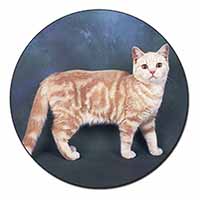 British Shorthair Ginger Cat Fridge Magnet Printed Full Colour
