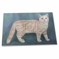 Large Glass Cutting Chopping Board British Shorthair Ginger Cat