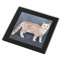 British Shorthair Ginger Cat Black Rim High Quality Glass Coaster