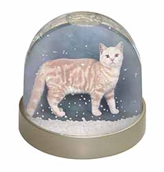 British Shorthair Ginger Cat Snow Globe Photo Waterball