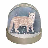 British Shorthair Ginger Cat Snow Globe Photo Waterball