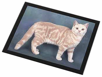 British Shorthair Ginger Cat Black Rim High Quality Glass Placemat