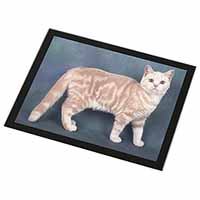 British Shorthair Ginger Cat Black Rim High Quality Glass Placemat