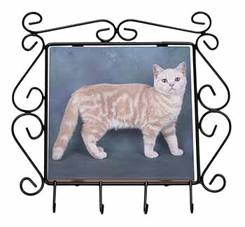 British Shorthair Ginger Cat Wrought Iron Key Holder Hooks