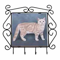 British Shorthair Ginger Cat Wrought Iron Key Holder Hooks