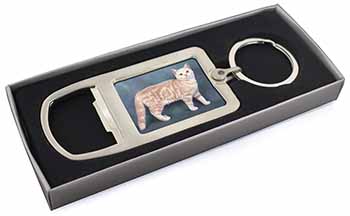 British Shorthair Ginger Cat Chrome Metal Bottle Opener Keyring in Box
