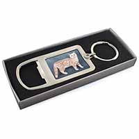 British Shorthair Ginger Cat Chrome Metal Bottle Opener Keyring in Box