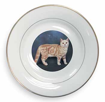 British Shorthair Ginger Cat Gold Rim Plate Printed Full Colour in Gift Box