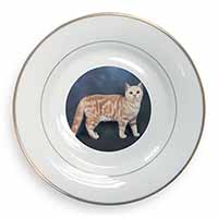 British Shorthair Ginger Cat Gold Rim Plate Printed Full Colour in Gift Box