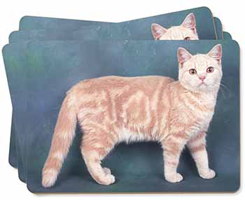 British Shorthair Ginger Cat Picture Placemats in Gift Box