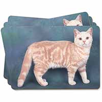 British Shorthair Ginger Cat Picture Placemats in Gift Box