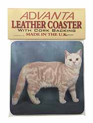 British Shorthair Ginger Cat Single Leather Photo Coaster