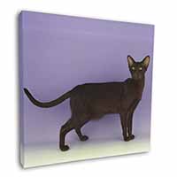 Chocolate Havana Cat Square Canvas 12"x12" Wall Art Picture Print