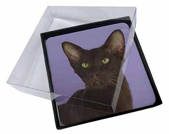 4x Chocolate Havana Cat Picture Table Coasters Set in Gift Box