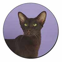 Chocolate Havana Cat Fridge Magnet Printed Full Colour