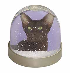 Chocolate Havana Cat Snow Globe Photo Waterball