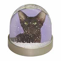 Chocolate Havana Cat Snow Globe Photo Waterball