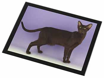 Chocolate Havana Cat Black Rim High Quality Glass Placemat