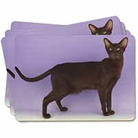 Chocolate Havana Cat Picture Placemats in Gift Box
