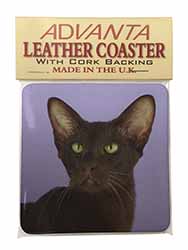 Chocolate Havana Cat Single Leather Photo Coaster