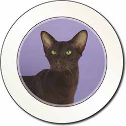 Chocolate Havana Cat Car or Van Permit Holder/Tax Disc Holder