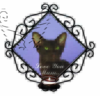 Havana Cat 