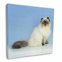 Himalayan Cat Square Canvas 12"x12" Wall Art Picture Print