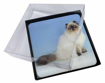 4x Himalayan Cat Picture Table Coasters Set in Gift Box